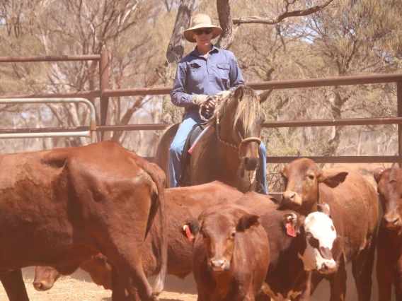 Margi Weir, Western Australia