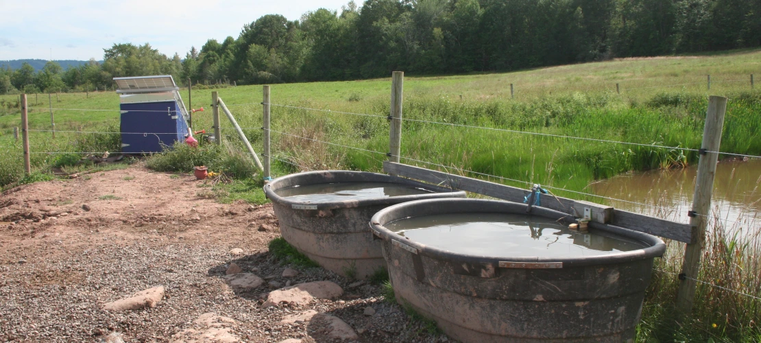 NS_27-08-2026_water-troughs-3