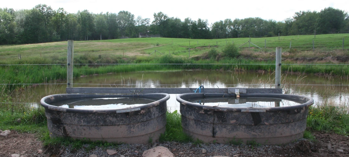 NS_27-08-2026_water-troughs