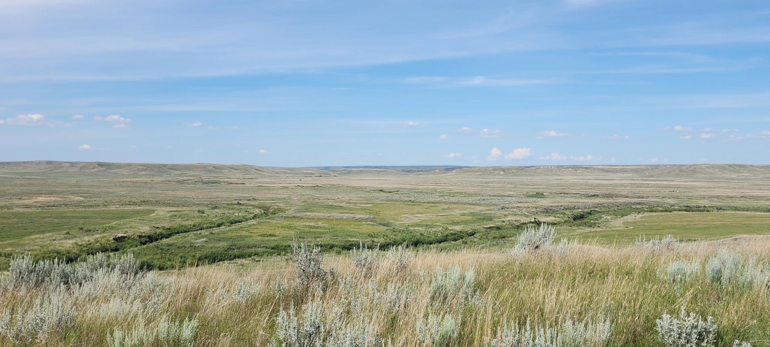 SK_08-05-2025_Crittall-Ranch-View-2