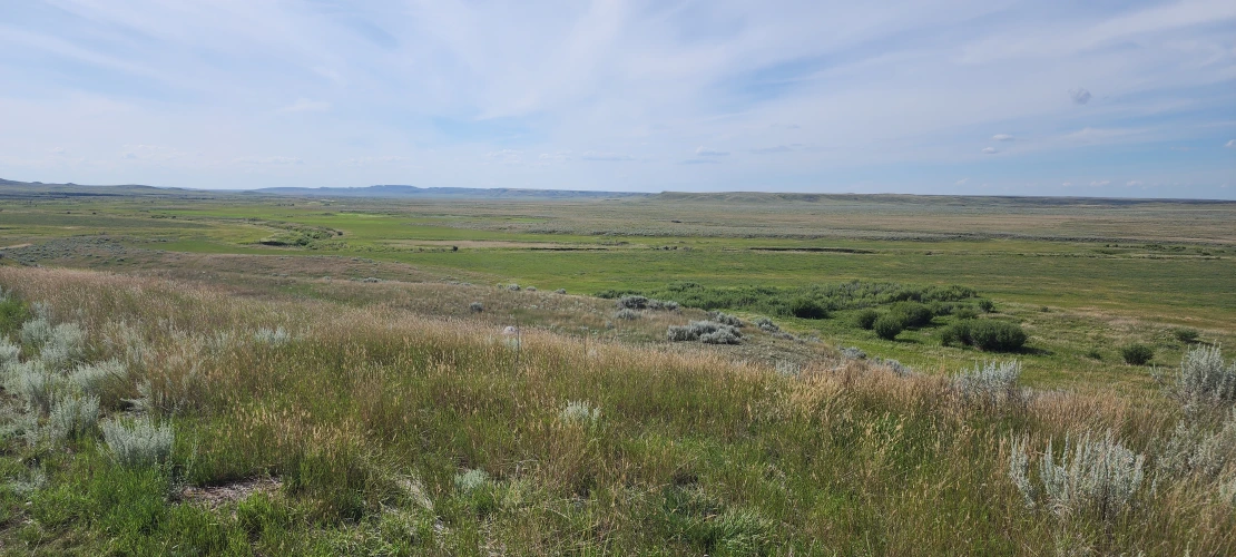 SK_08-05-2025_Crittall-Ranch-View-3