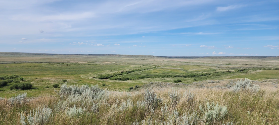 SK_08-05-2025_Crittall-Ranch-View-4