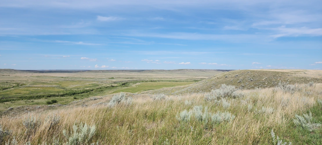 SK_08-05-2025_Crittall-Ranch-View-5