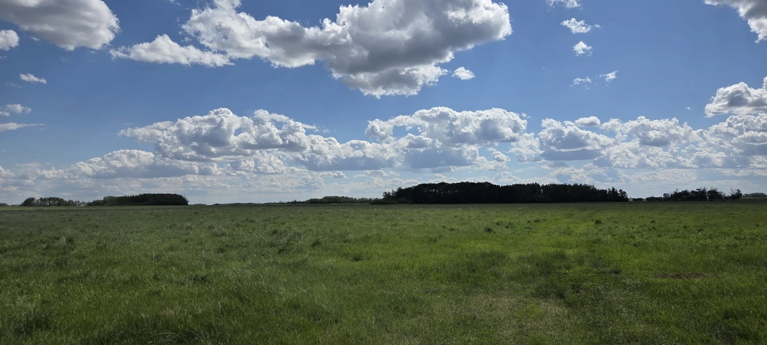 SK_June15-2026_LehmannPasture