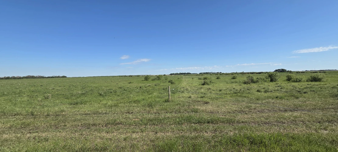 SK_June15-2026_RGPaddocks