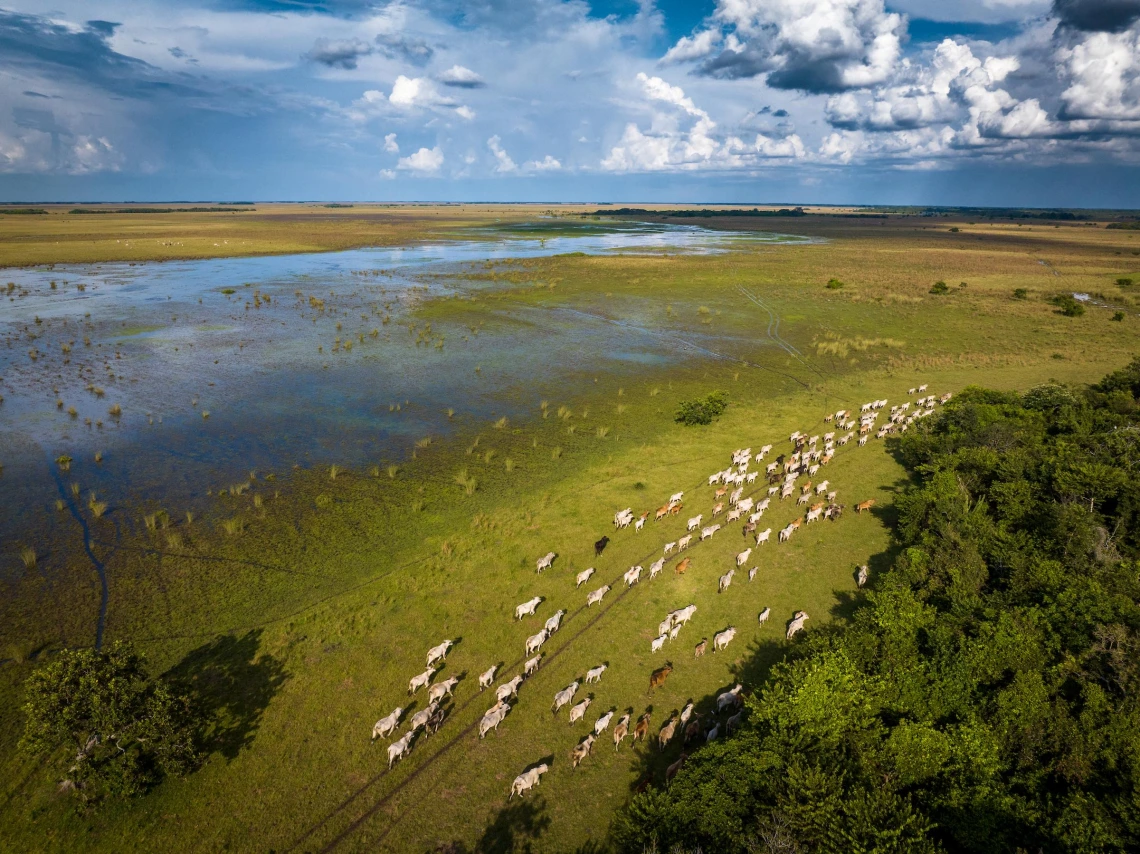 Colombia Casanare