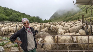 Brigitte Touyet French shepherdess in Pyrenees