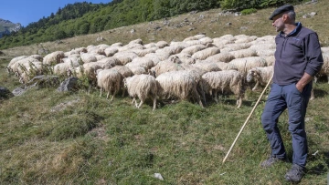 Régis Carrère French shepherd in Pyrenees