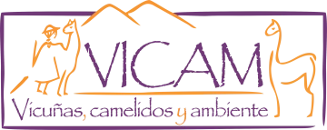Vicunas, camelidos y ambiente