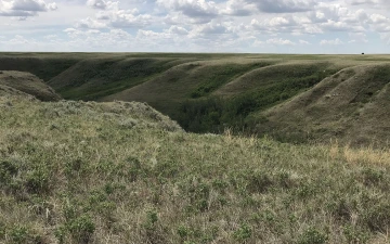 USask Article Image