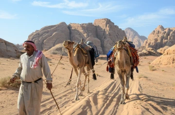 camels image