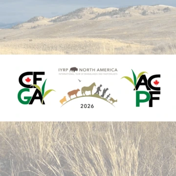 CFGA Blog Image