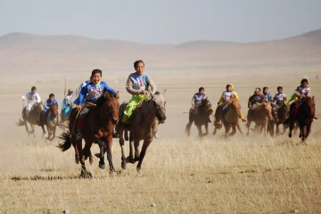 horse race image