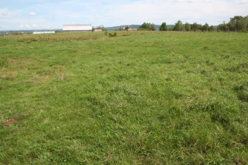 NS_27-08-2026_Grazed-pasture