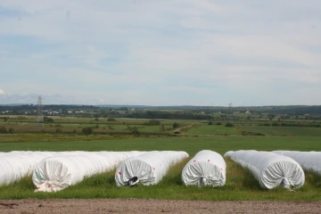 NS_27-08-2026_Haylage