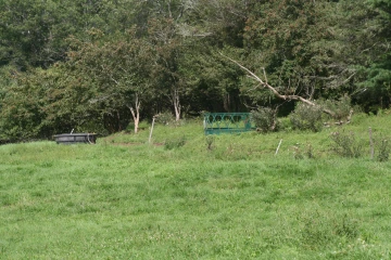 NS_27-08-2026_Treed-Pasture