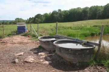 NS_27-08-2026_water-troughs-3
