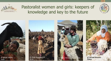 powerpoint screenshot October 26