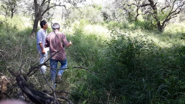 Assessing rangelands