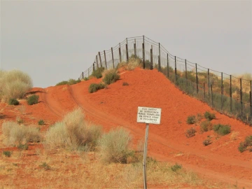 Dog fence