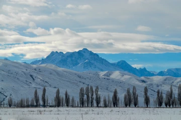 Mountain and trees