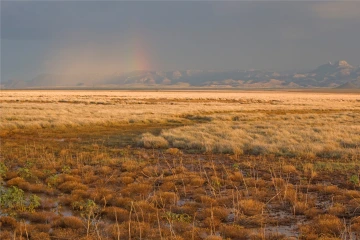 Mountains in distance