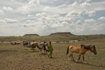 Woman and horse