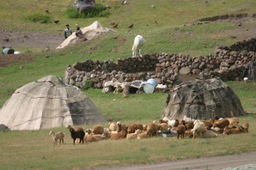 Tent and corral