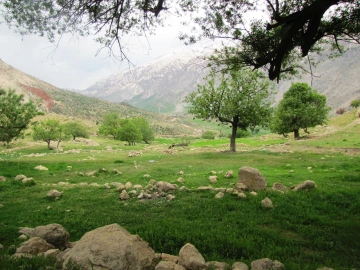 Green valley