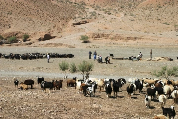 IYRP Gallery | International Year of Rangelands and Pastoralists Initiative