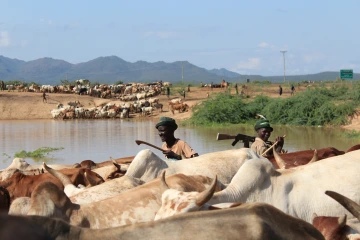 Pastoralists at waterpoint