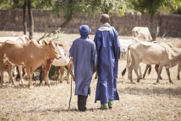 Herders in blue