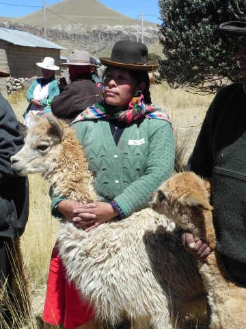 Woman with llama