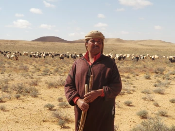Pastoralist in Tunisia