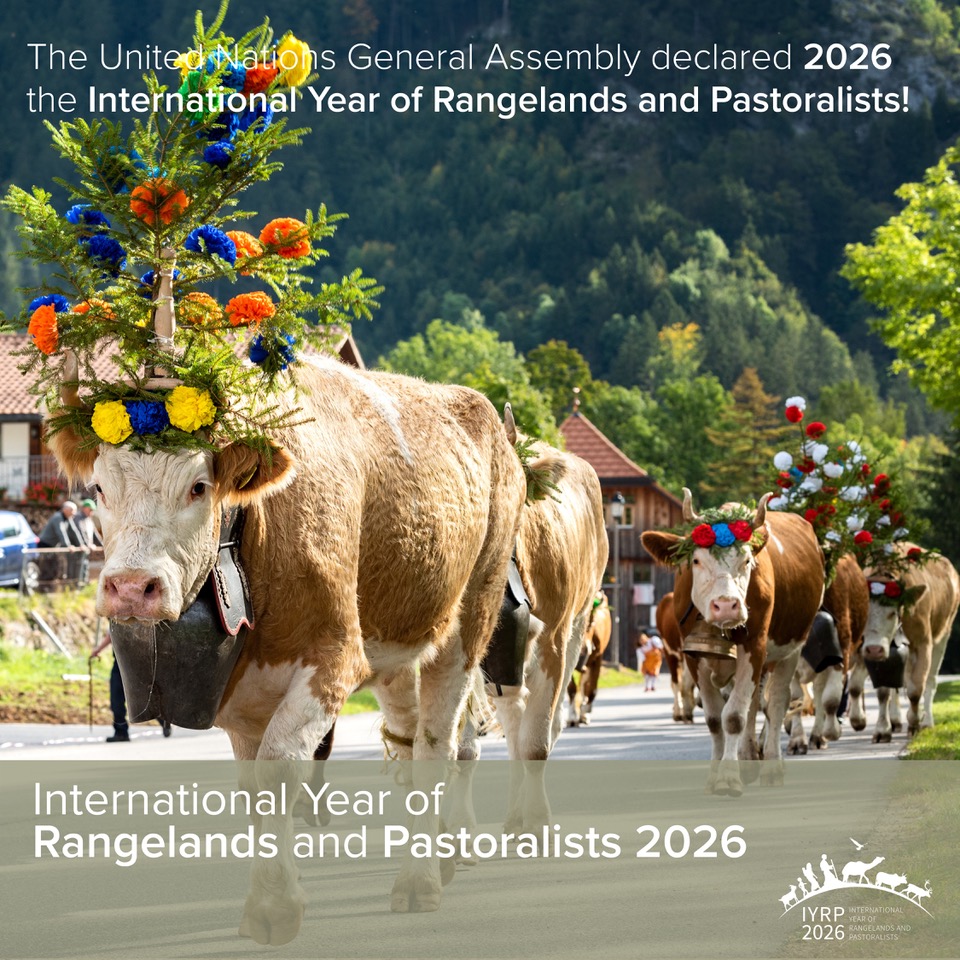 International Year of Rangelands and Pastoralists 2026