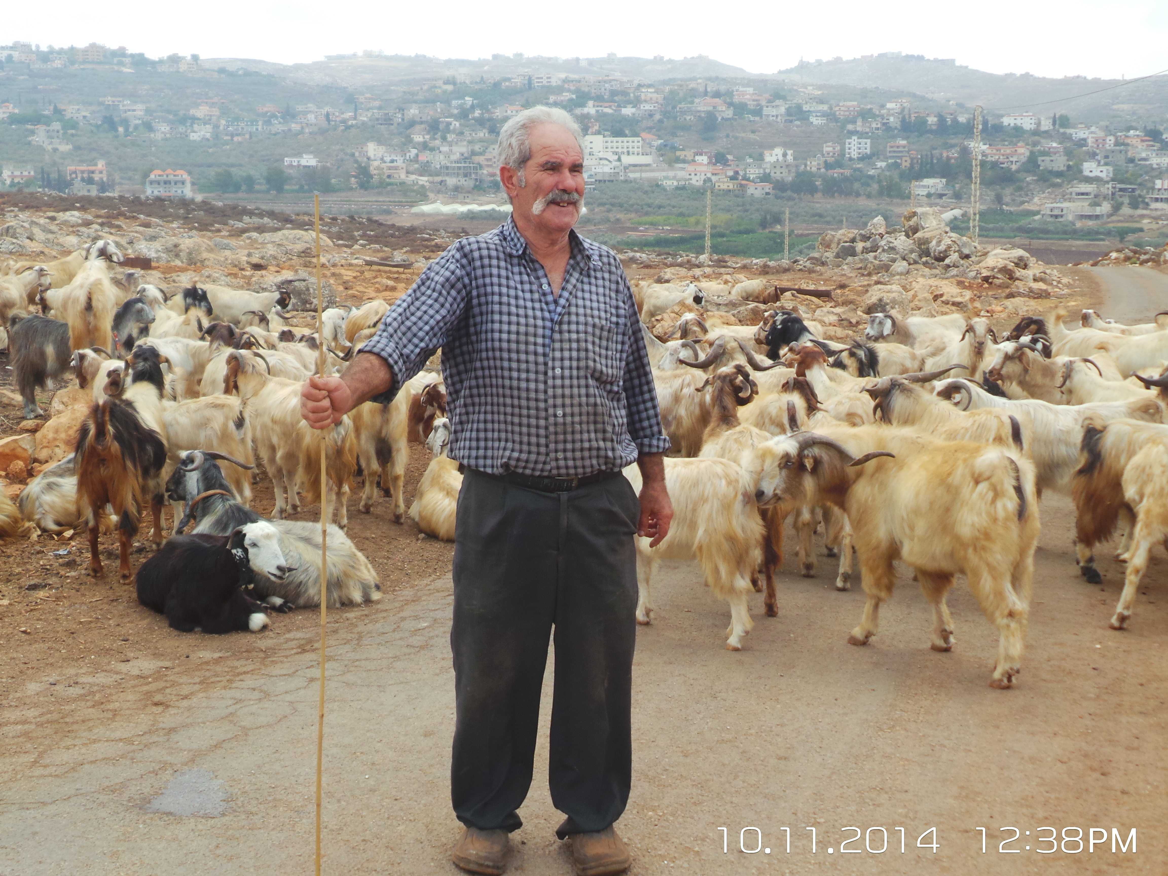 Pastoralist in Lebanon