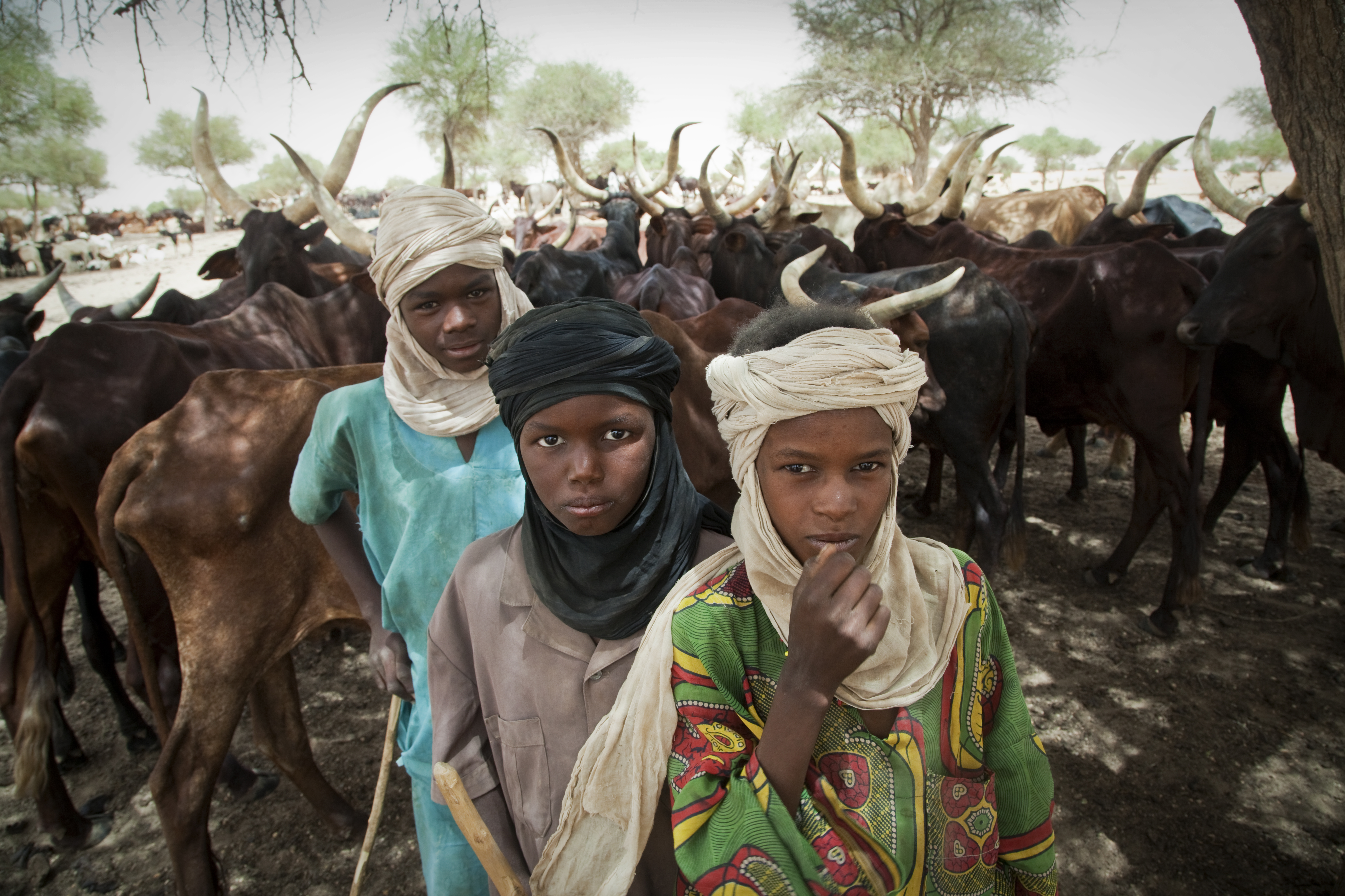Herder boys in Niger
