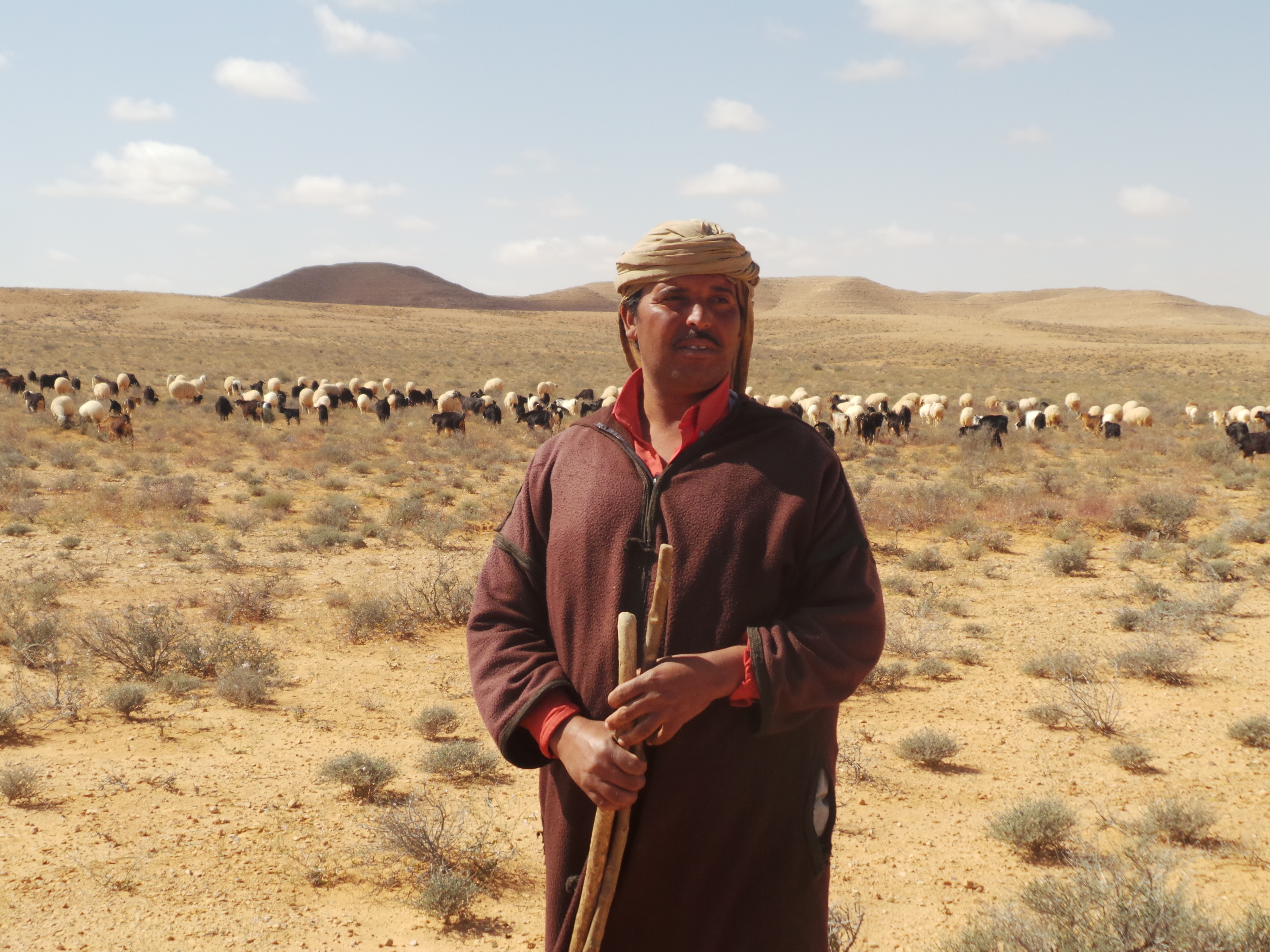 Pastoralist in Tunisia