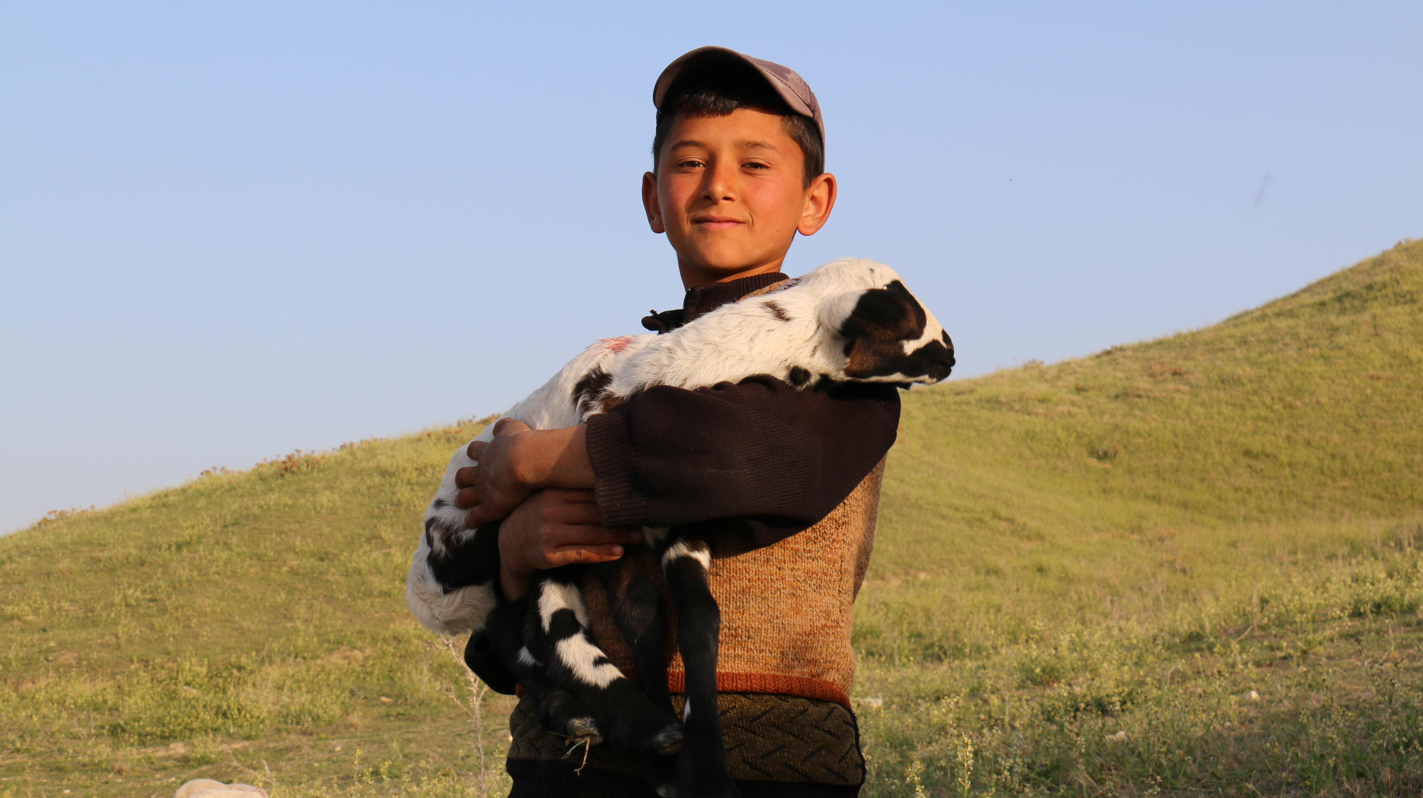 Bpy herder in Turkey