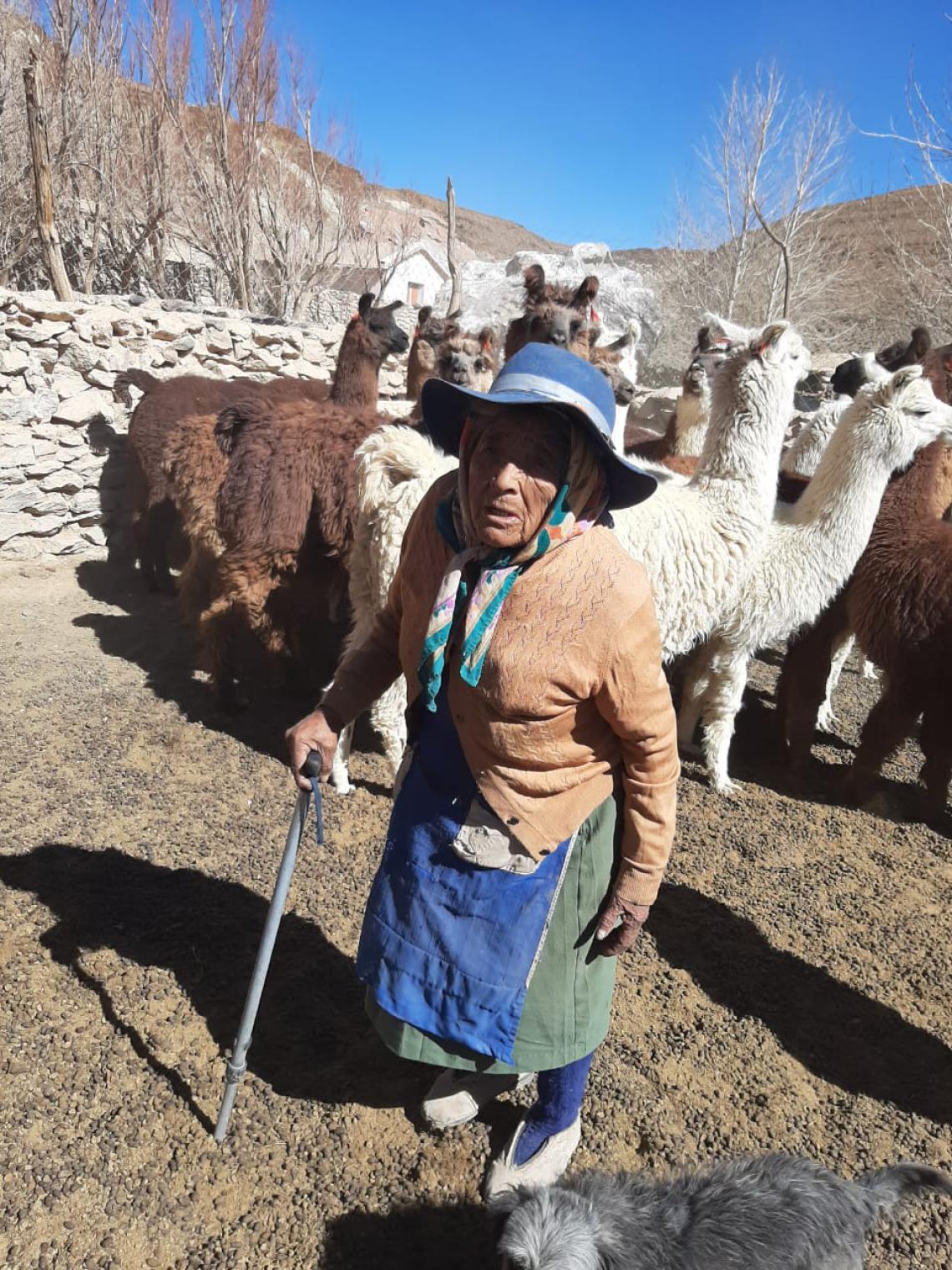 Woman herder in Argentina