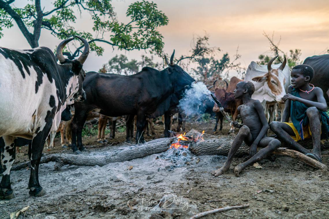 Eastern & Southern Africa | International Year of Rangelands and ...