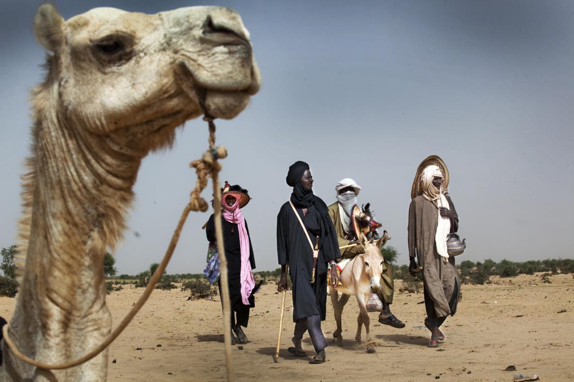 Camel donkey and herders